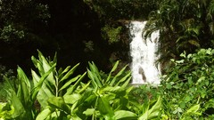 Landscapes nature waterfalls