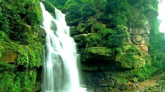 Landscapes nature waterfalls