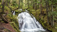 Landscapes nature waterfalls