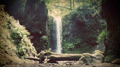 Landscapes nature waterfalls