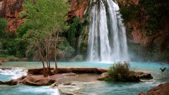 Landscapes nature waterfalls