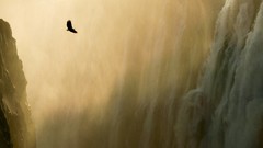 Landscapes nature waterfalls Eagles