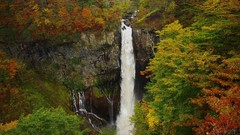 Landscapes nature waterfalls forests