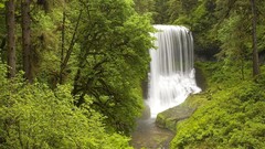 Landscapes nature waterfalls forests