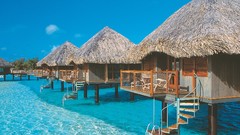 Landscapes nature web Tahiti French Polynesia