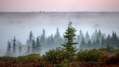 Landscapes nature West Virginia mist national geographic