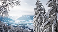 Landscapes nature white