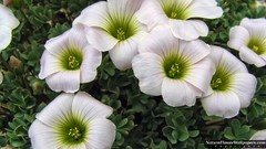 Landscapes nature white