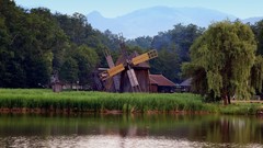 Landscapes nature windmills swamp