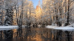 Landscapes nature winter
