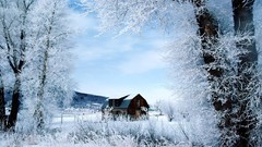 Landscapes nature winter