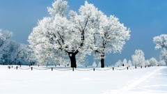 Landscapes nature winter