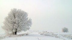 Landscapes nature winter