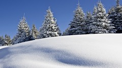 Landscapes nature winter