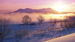 Landscapes nature winter