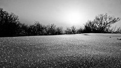 Landscapes nature winter black and white