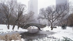 Landscapes nature winter Bridges Central Park new york city