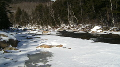 Landscapes nature winter forest