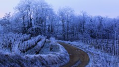 Landscapes nature winter frost roads