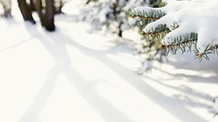 Landscapes nature winter HDR Photography