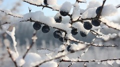 Landscapes nature winter HDR Photography