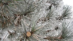 Landscapes nature winter HDR Photography