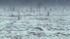 Landscapes nature winter HDR Photography