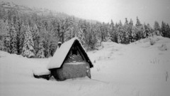 Landscapes nature winter houses