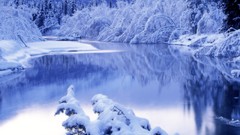 Landscapes nature winter lakes