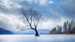 Landscapes nature winter lakes