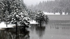 Landscapes nature winter lakes forests