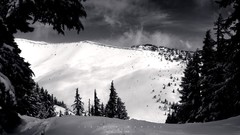 Landscapes nature winter monochrome