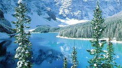 Landscapes nature winter Mountains forests