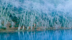 Landscapes nature winter national park crescent