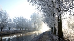 Landscapes nature winter paths