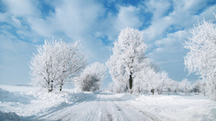 Landscapes nature winter roads