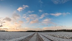 Landscapes nature winter roads