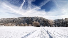 Landscapes nature winter roads