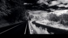 Landscapes nature winter roads monochrome
