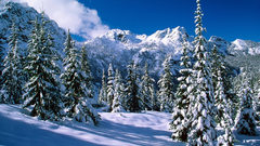 Landscapes nature winter snow