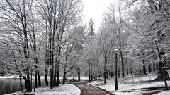Landscapes nature winter snow