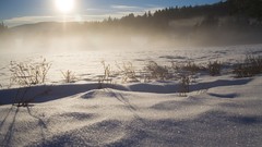Landscapes nature winter snow