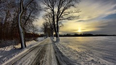 Landscapes nature winter snow
