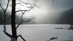 Landscapes nature winter snow