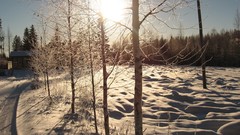 Landscapes nature winter snow