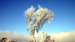 Landscapes nature winter snow