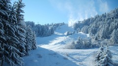 Landscapes nature winter snow