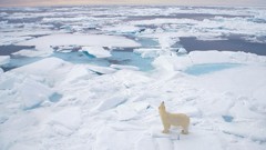 Landscapes nature winter snow