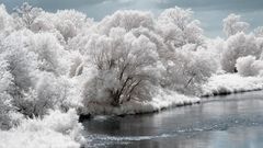Landscapes nature winter snow