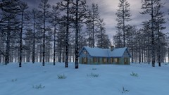 Landscapes nature winter snow